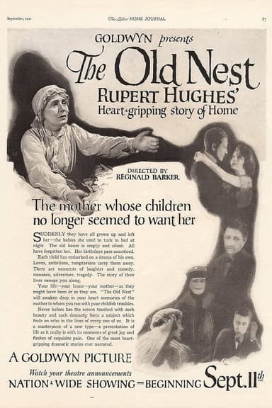 The Old Nest poster