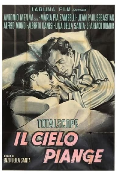 The Sky Cries poster