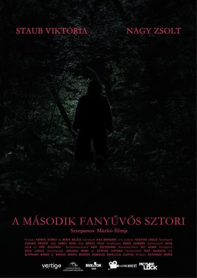 Sasquatch Story No.2 poster