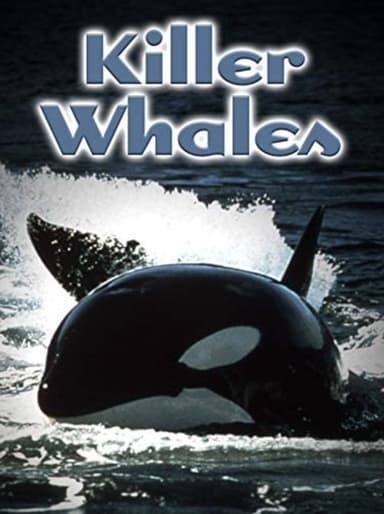 Killer Whales: Up Close and Personal poster