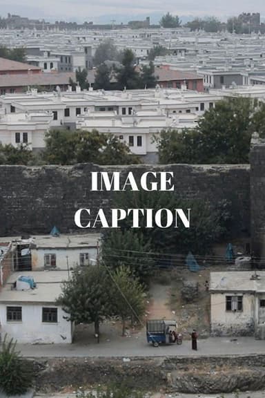 Image Caption poster