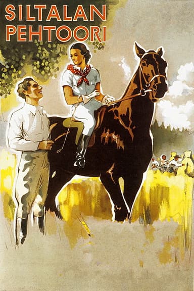 Siltalan pehtoori poster