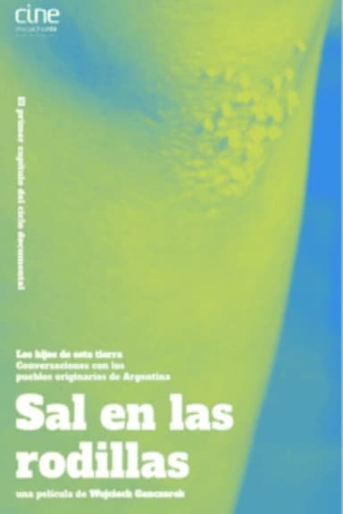 Sal en las rodillas poster
