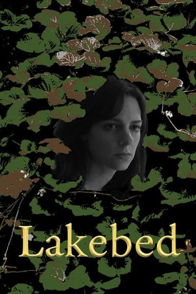 Lakebed poster