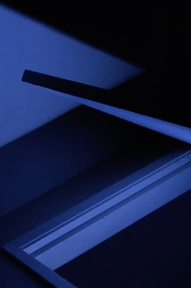 Door Light poster