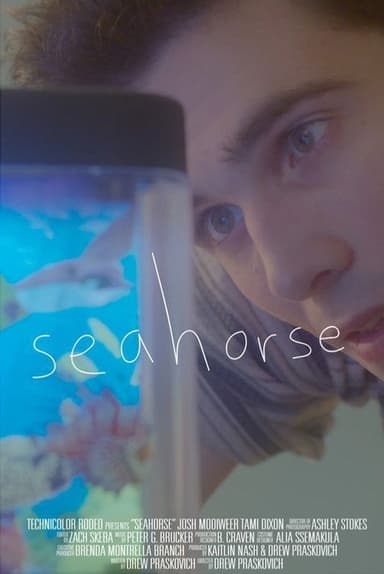 Seahorse poster