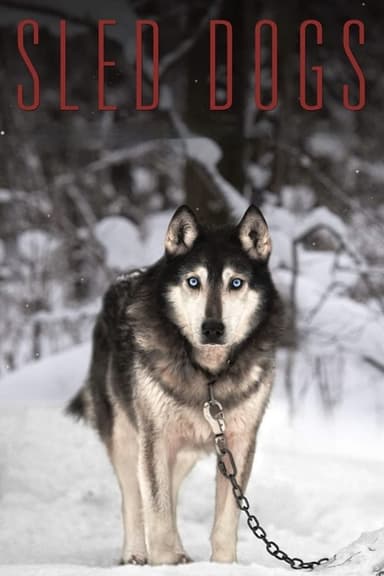 Sled Dogs poster