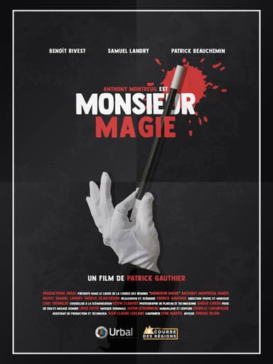 Monsieur Magie poster