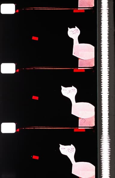 Cats poster