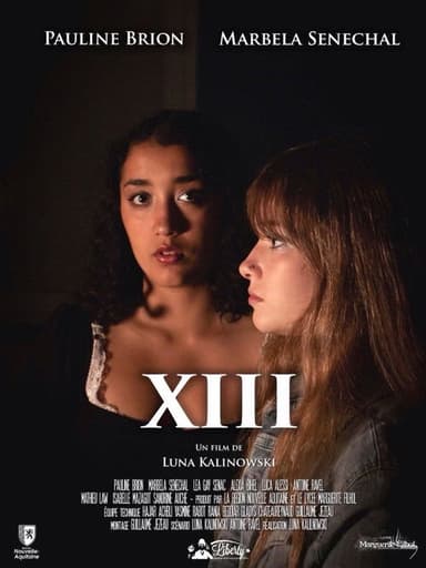 XIII poster
