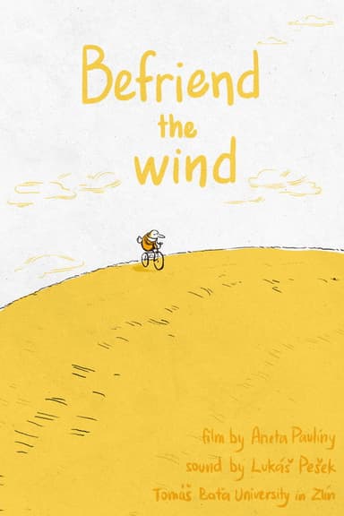 Befriend the Wind poster