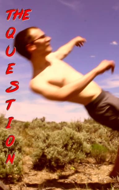 The Question poster