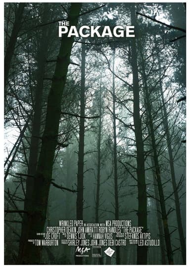 The Package poster