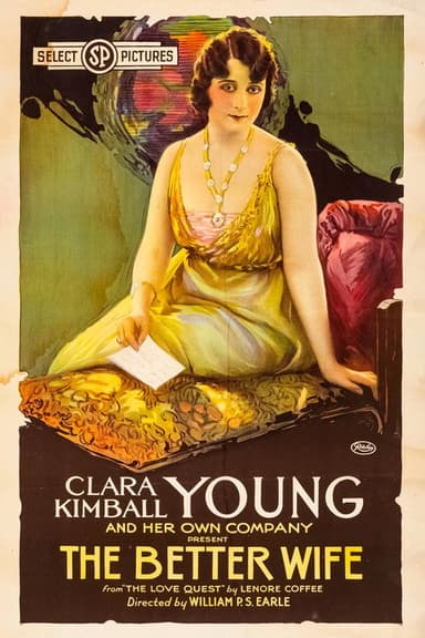 The Better Wife poster