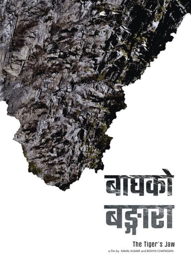 The Tiger's Jaw poster