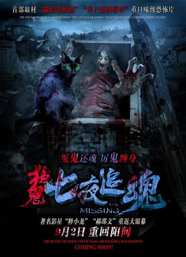The Missing poster