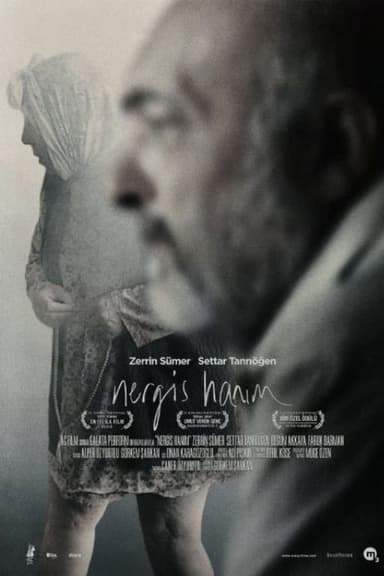 Mrs Nergis poster