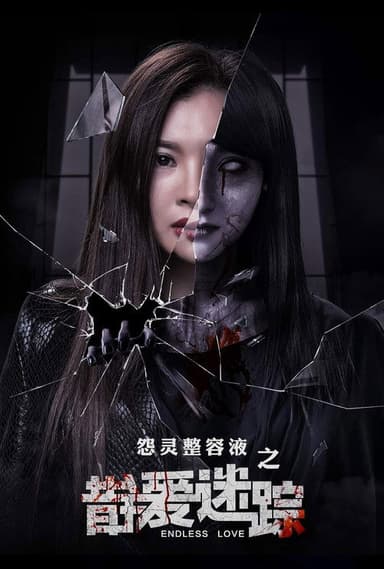 错爱迷踪 poster