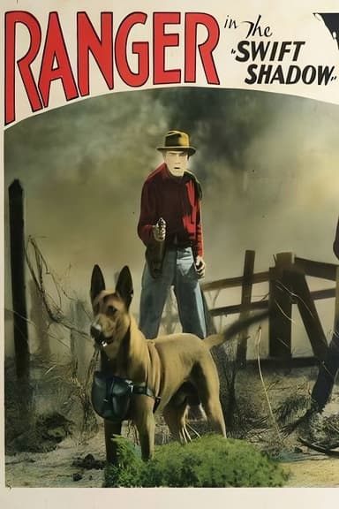 The Swift Shadow poster