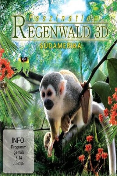 Faszination Südamerika - Regenwald 3D poster