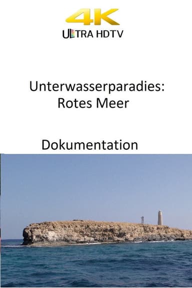 Unterwasserparadies: Rotes Meer poster
