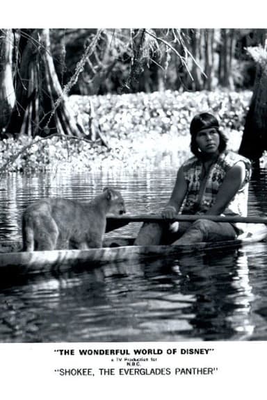 Shokee, the Everglades Panther poster