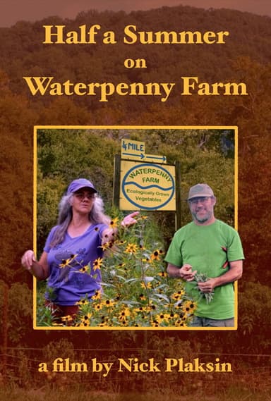Half a Summer on Waterpenny Farm poster