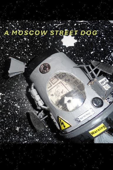 A Moscow Street Dog poster