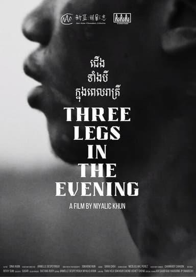 Three Legs in the Evening poster