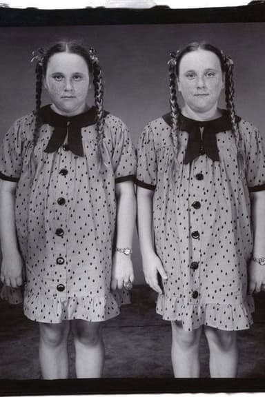 Twins poster