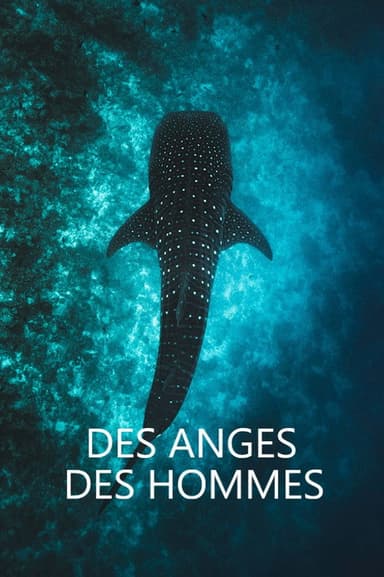 Des anges des hommes poster