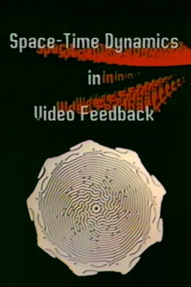 Space-Time Dynamics in Video-Feedback poster