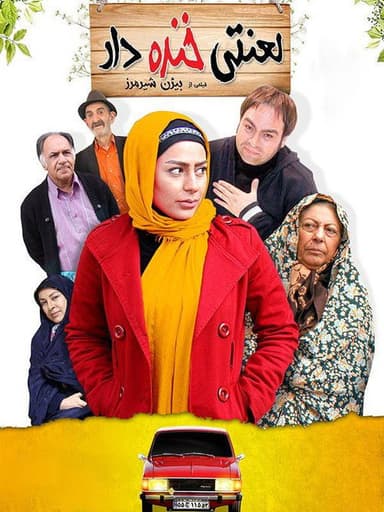damn funny poster