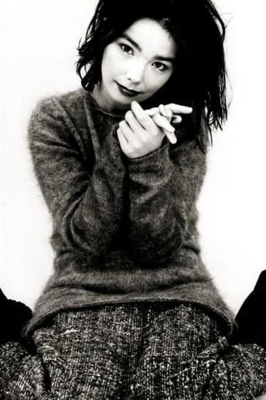 Björk's Greatest Hits: Volumes 1993-2003 poster