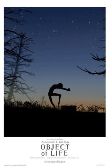 Object of Life poster