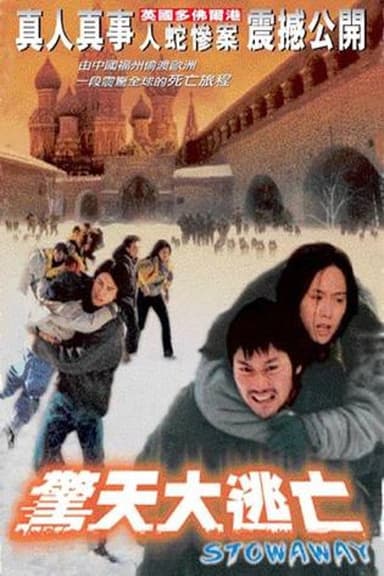 Stowaway poster