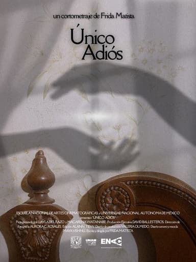 The Last Goodbye poster