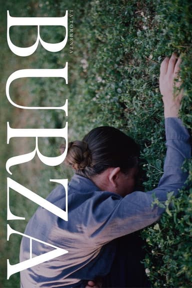 Burza poster