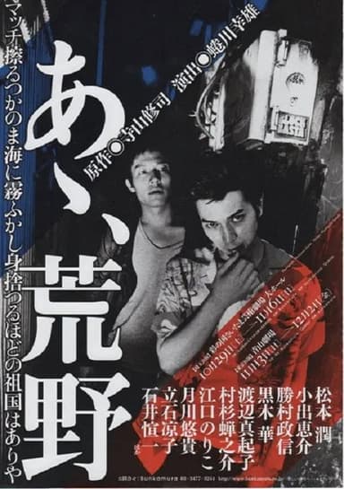 あゝ、荒野 poster