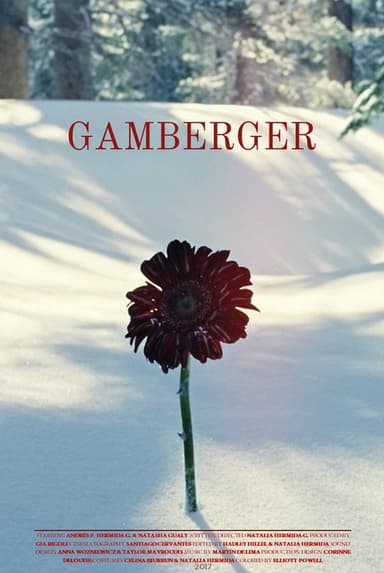 Gamberger poster
