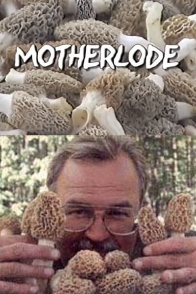 Motherlode poster