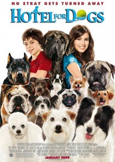 A Home for Everyone: The Making of 'Hotel for Dogs' poster