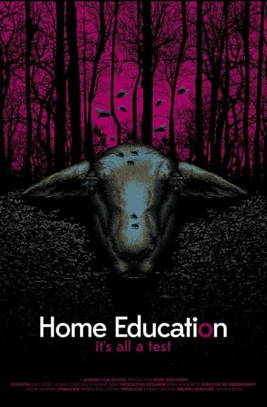 Home Education poster