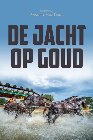 The Hunt for Gold poster