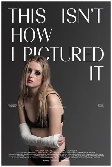 This Isn't How I Pictured It poster