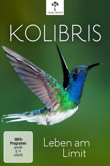 Kolibris - Leben am Limit poster