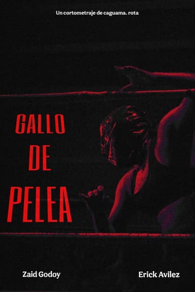 Gallo de pelea poster