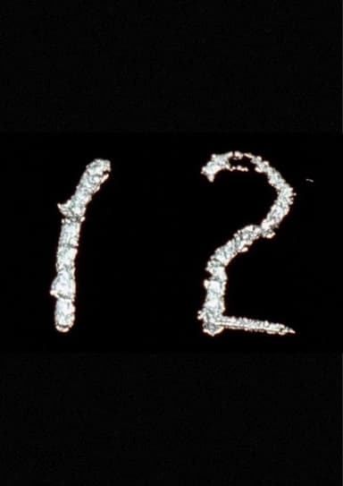 Arabic Numeral Series 12 poster