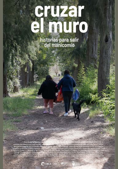Cruzar el muro poster