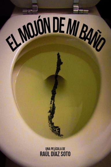 The Poop in my Bathroom poster